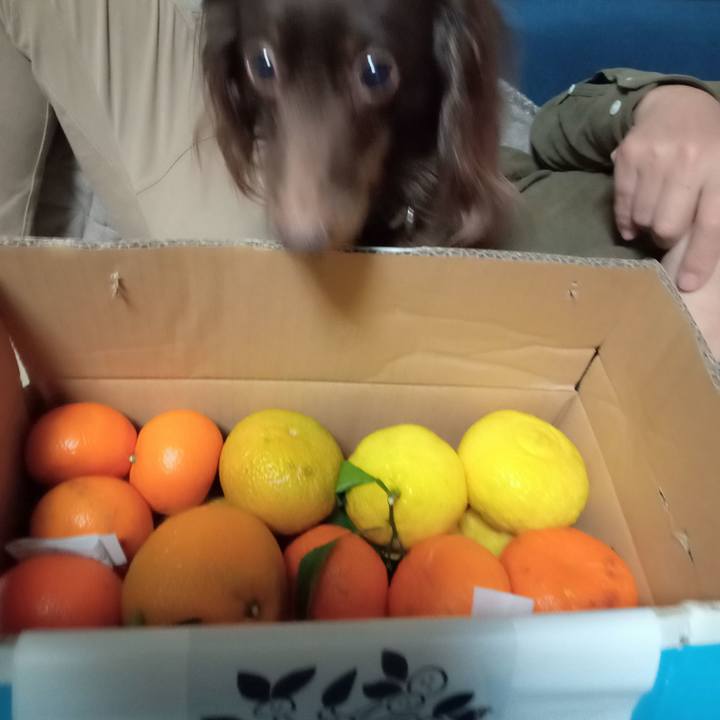 C3078ae5 450e 4cc8 8dbe 14e16afdea73 1768691287983