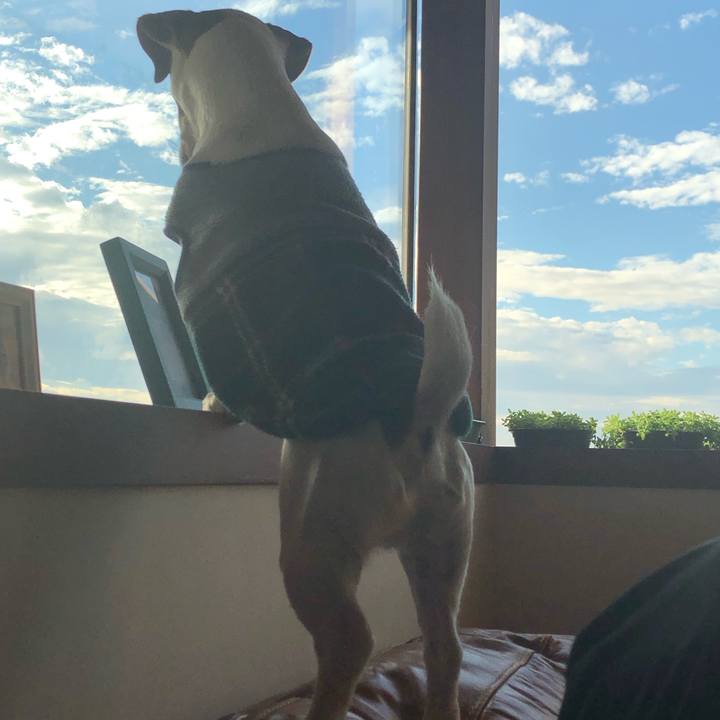 C307a05f c170 444f 9fef c79a13b08d58 1544771909095