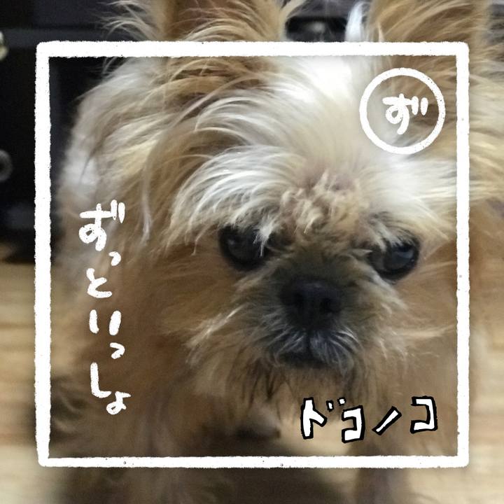 C307b0a1 e584 46df 9df5 09e6c8cfaf48 1685958811544