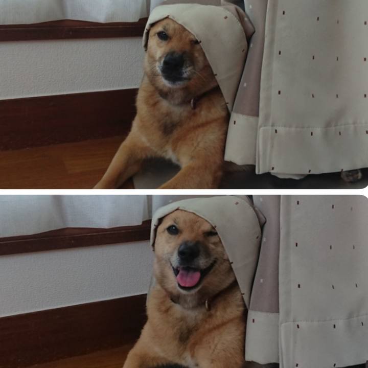 C3080d48 63b1 4abe 8997 c468e129bb2a 1597133702226