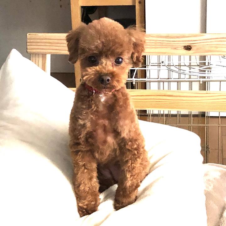 C30810b4 7f58 4b7f bb4c cf6cb8b32f9f 1580768223288