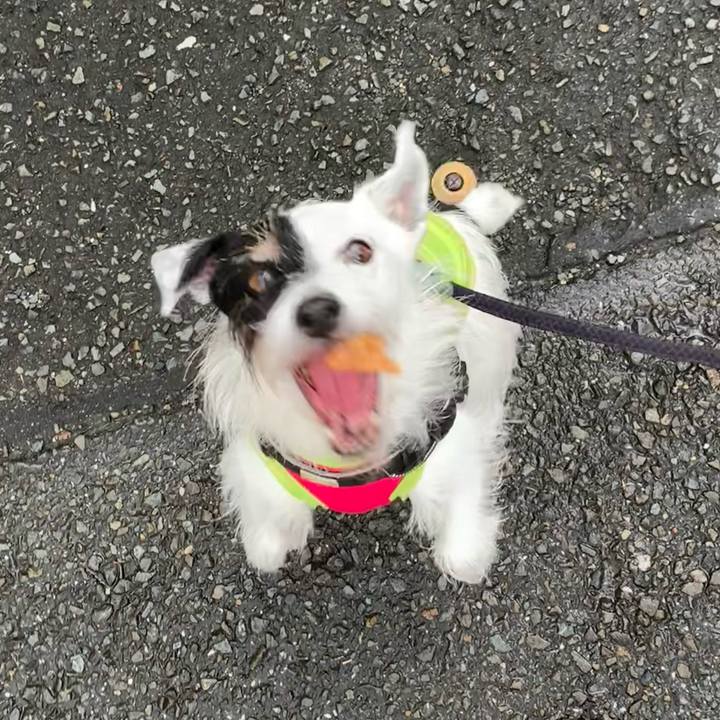 C308111e 0150 4018 8237 30eac7349faf 1723763741267