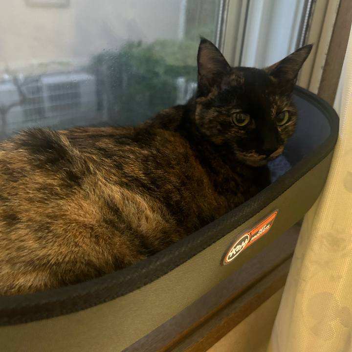 C3081489 9bfa 42df a5a0 8f2653daacc8 1759621722471