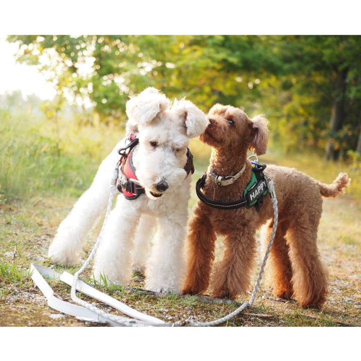 C3087238 4edd 4e68 8c5e c6f6adb729a2 1558824939758