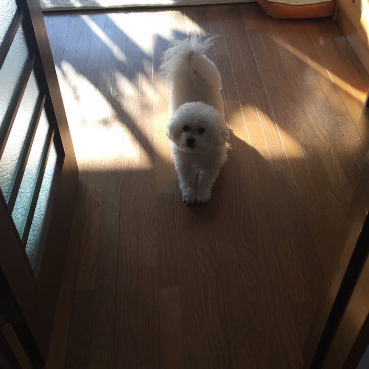 C308c7cb ab67 49d8 b31a b77a64b70b07 1543109388179