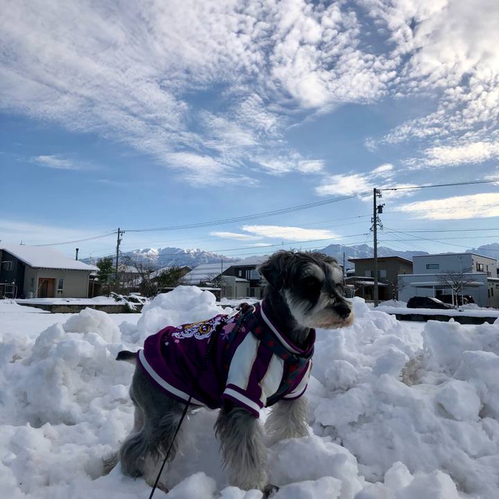 C308cc86 4966 4926 aade 9c43906ebf1f 1641099218482