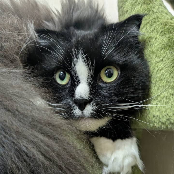 C308de49 6907 4dde a50c 48db42134176 1774009846716