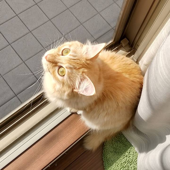 C308e182 bc63 4f14 9354 34e2b4f2c242 1634293876474