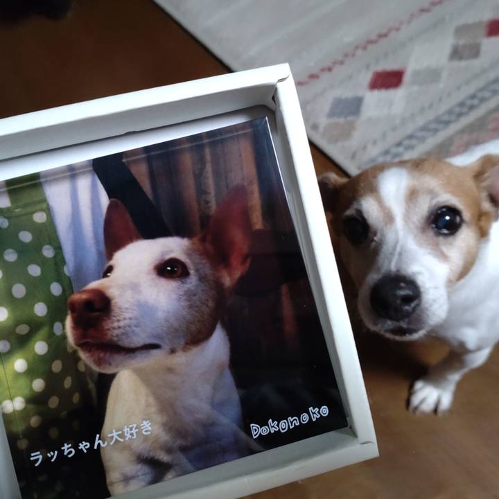 C308e497 d562 40e4 935d 628d8ffc5eef 1752059936563