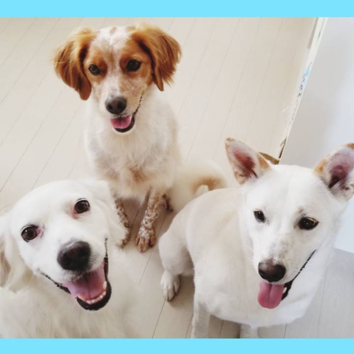 C308fc51 fd09 4baa b6f0 393f240f6490 1600743628153