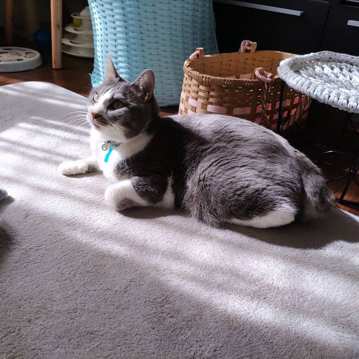 C30900a2 b660 4cf1 996a 03dc10b9ee5e 1708234012340