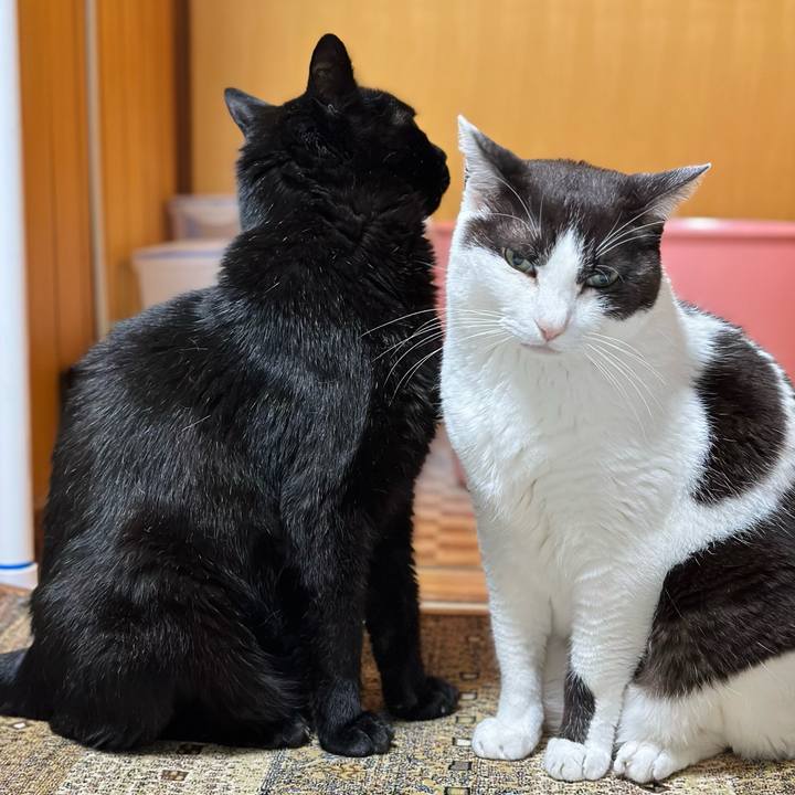 C30910ab fde8 4484 868e 7ebe6323549b 1686101627916