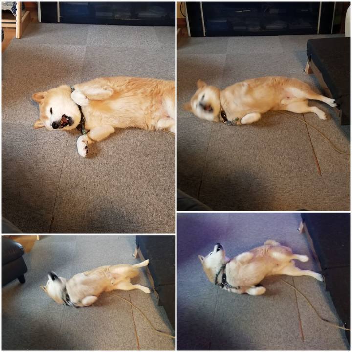 C3099ab4 7214 4da2 ada8 8edaf1902a89 1702771109725