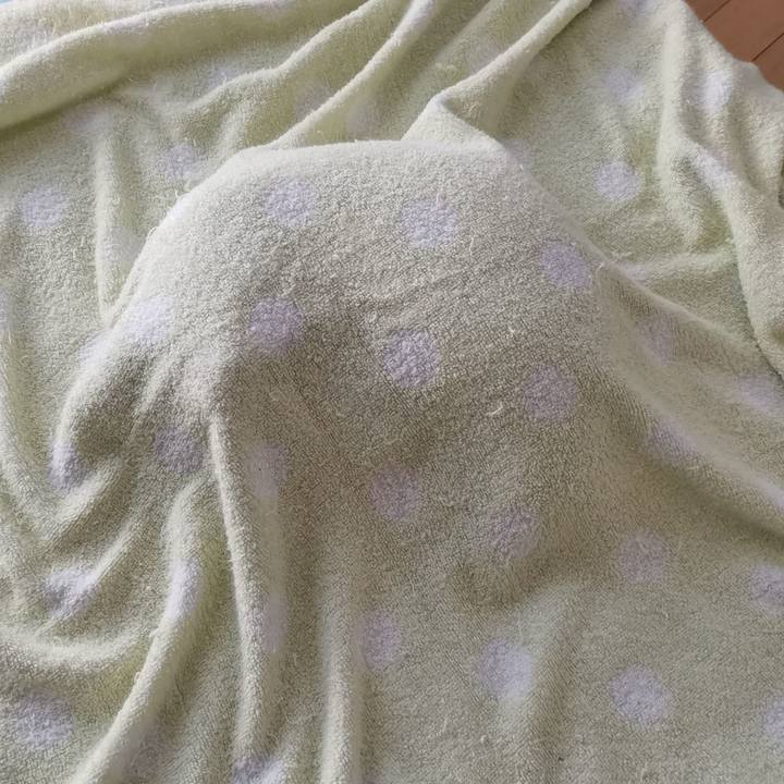 C309af33 5634 421d 8dd0 e61d40cb9a25 1632630413129