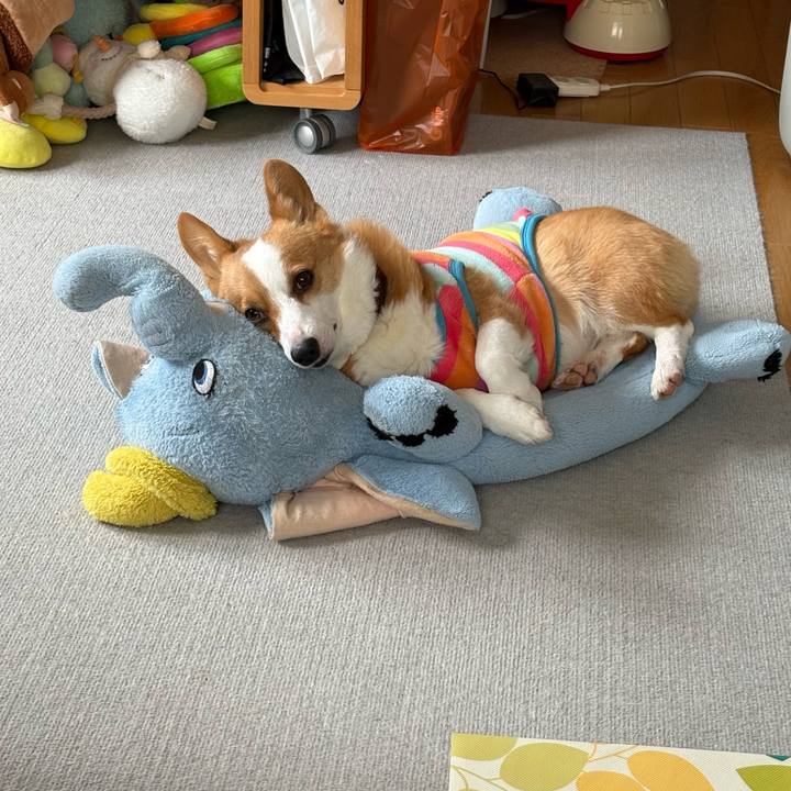 C309ca7e b6cc 4a97 9c59 d16fe94787cf 1773374144493