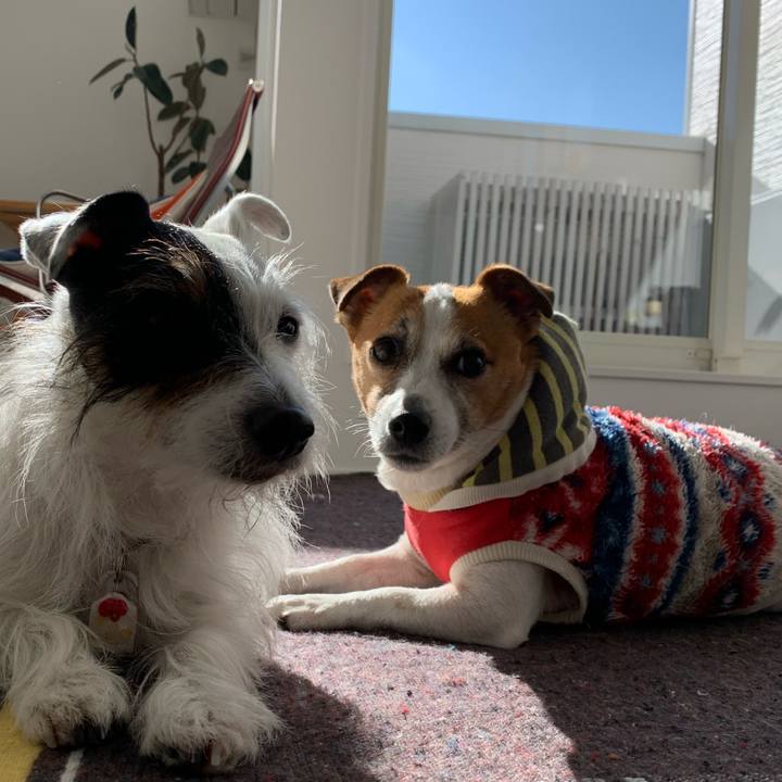 C30a1ebb 10cf 4784 ba46 b0cee8343e40 1609987160202