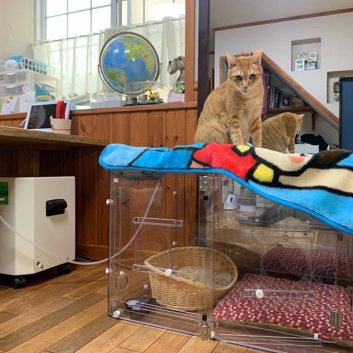 C30a1ebc 7a63 456c 8fd6 a290f36b788a 1578898630069