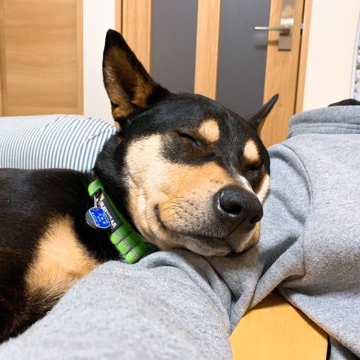 C30a2990 c5b9 4ee9 8c35 d1a7b870ee6c 1552824007748