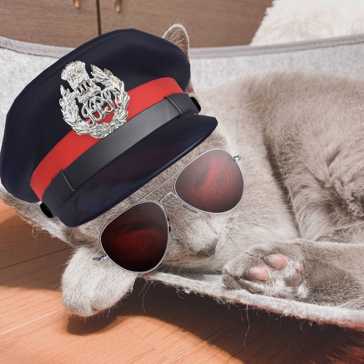 C30a5997 f33b 4292 bdd3 7abe0ac36328 1594104799206