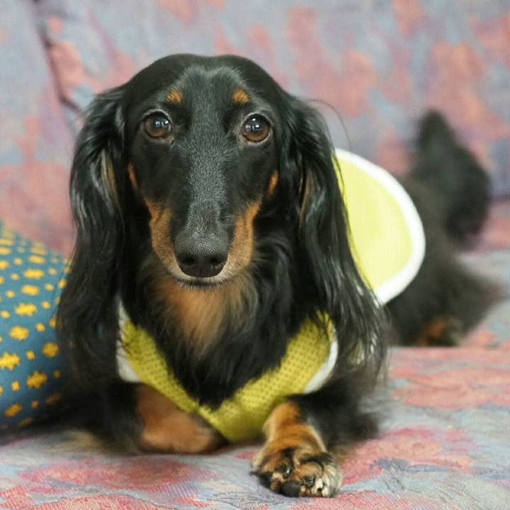 C30a6679 f9ef 454d af3b 79a56a951408 1532913181918