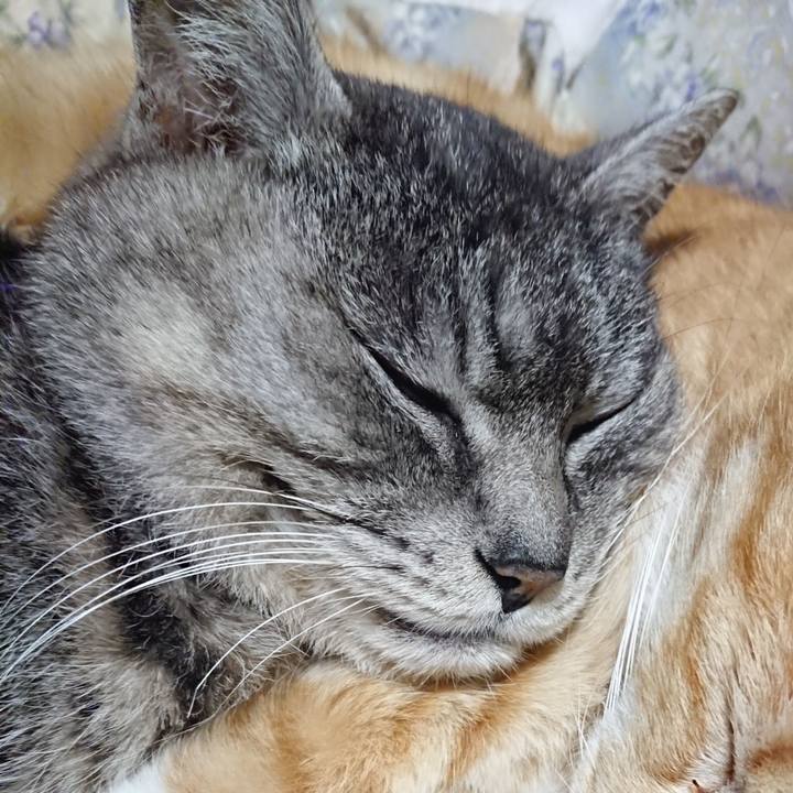 C30a763c 8c2c 4147 9797 c4ab8ceb4587 1583584846028