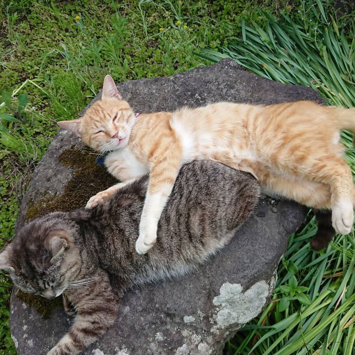 C30aa569 5f4a 4b45 9f31 b12caff295b8 1559460877971