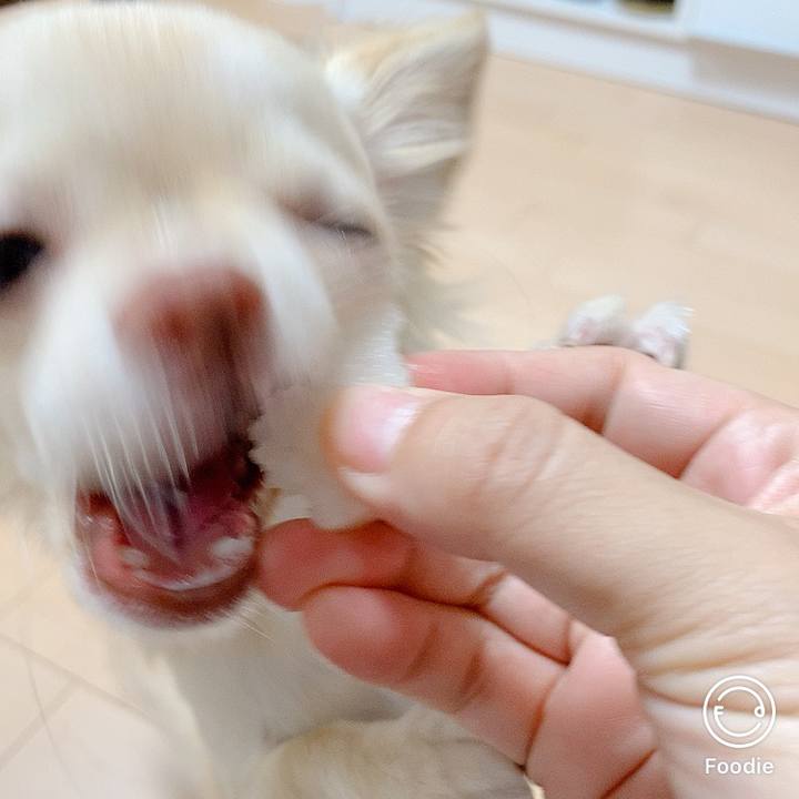 C30aa5e6 7af0 4972 9645 b8bf3d8a70db 1601882485611