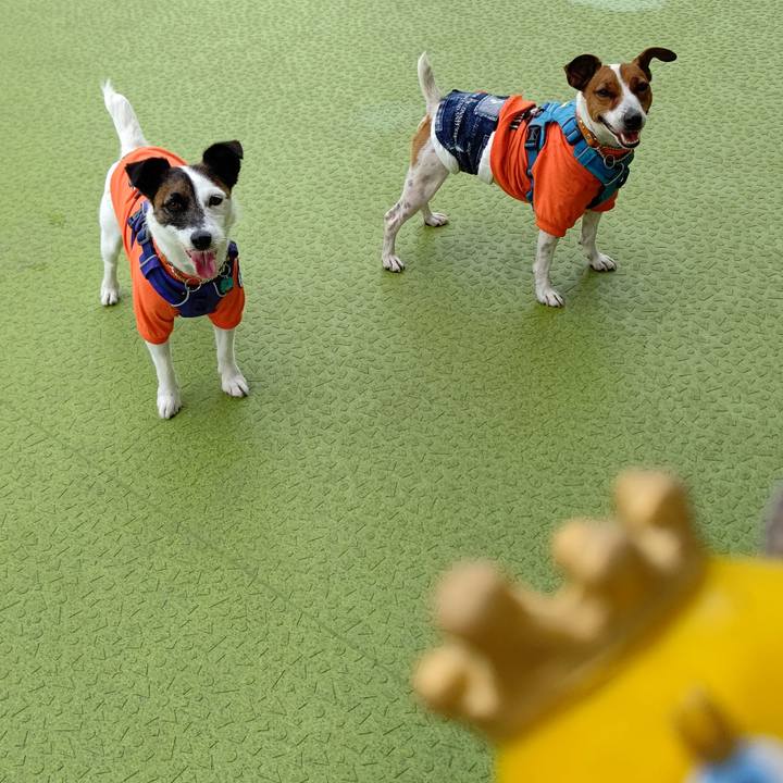 C30aa87a 53ae 462b 9e85 d51f4ca5b663 1620986039083