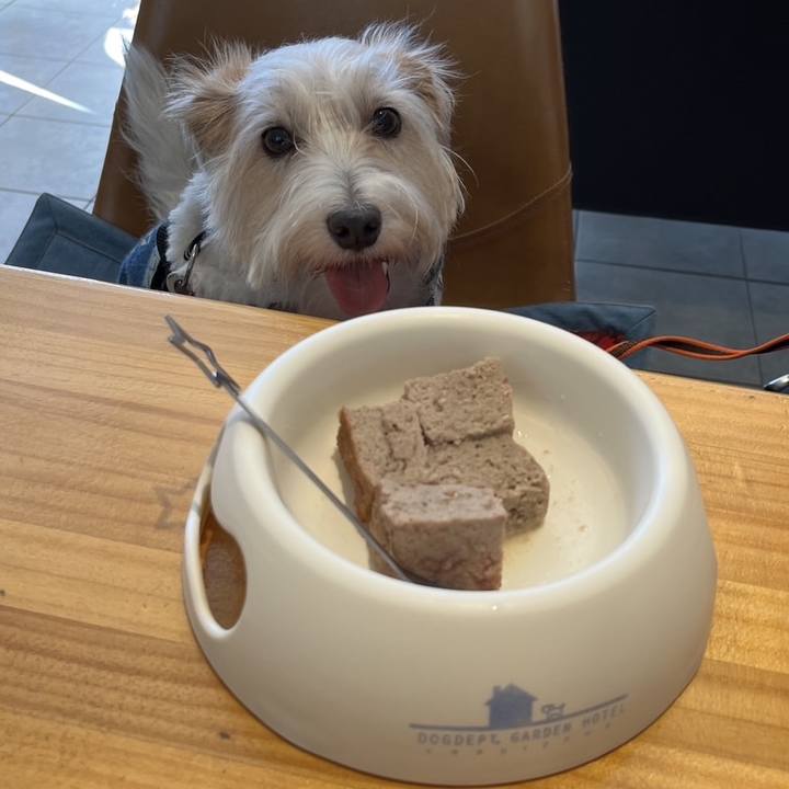 C30ab83f 8aa9 4b26 8ade c51d402cb3d4 1768639378960