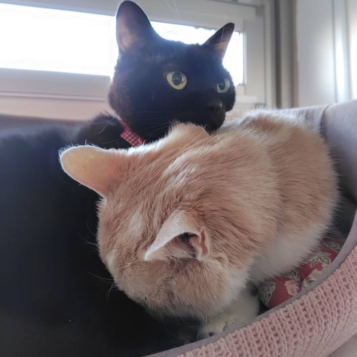 C30ac96a bd06 48e6 85a3 b293c0c1dc53 1735856477114