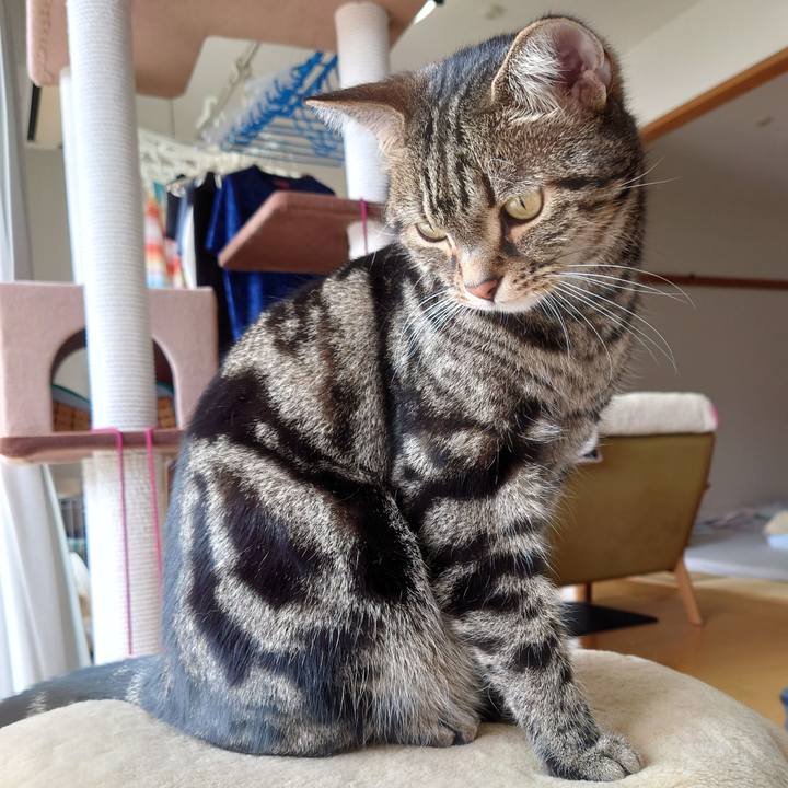 C30adce2 4fb8 4be6 ae15 cff81c1bfd5f 1647834617205