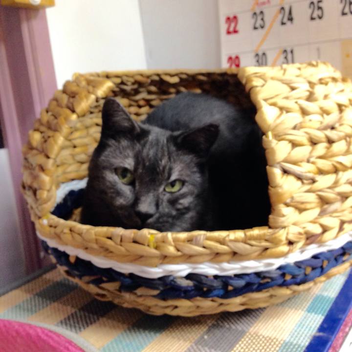 C30b27b7 3be4 4430 a7bd a76e2a7efcbc 1509417050111