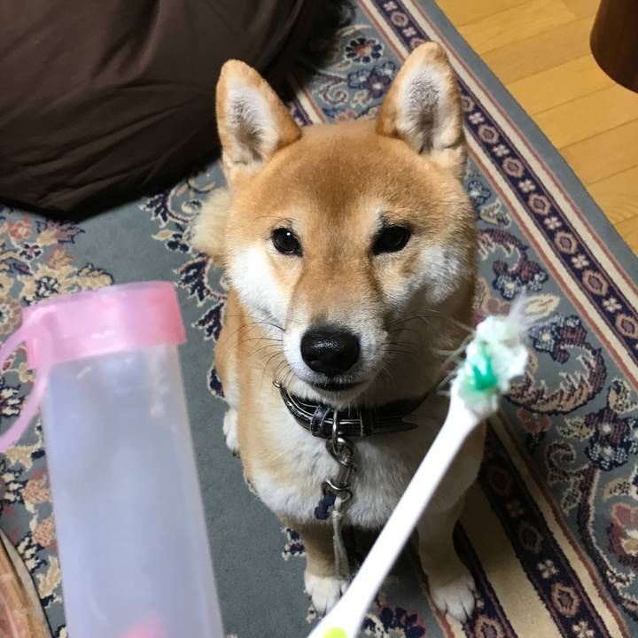 C30b2a2f fca8 4f24 bd65 3bea0fa4afc1 1519554105913