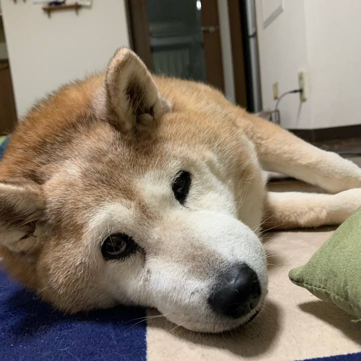 C30b839b a242 4cf2 a601 6bf5d9fd7731 1643104932356