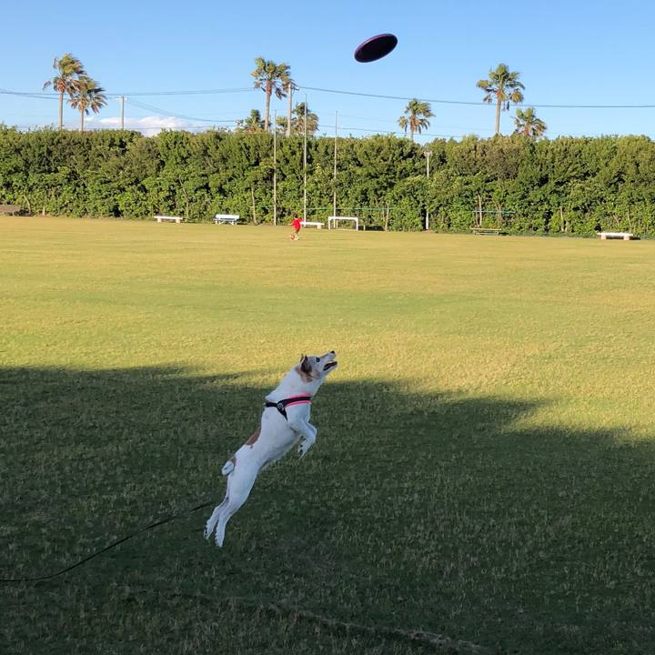 C30bbd9d 5663 4c74 a434 de02f13a4ea7 1526732341133