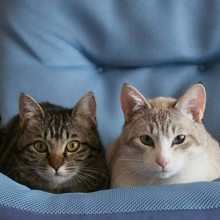 C30bc3c3 e37a 487a 900b 5d1b5f17a0be 1522580598694