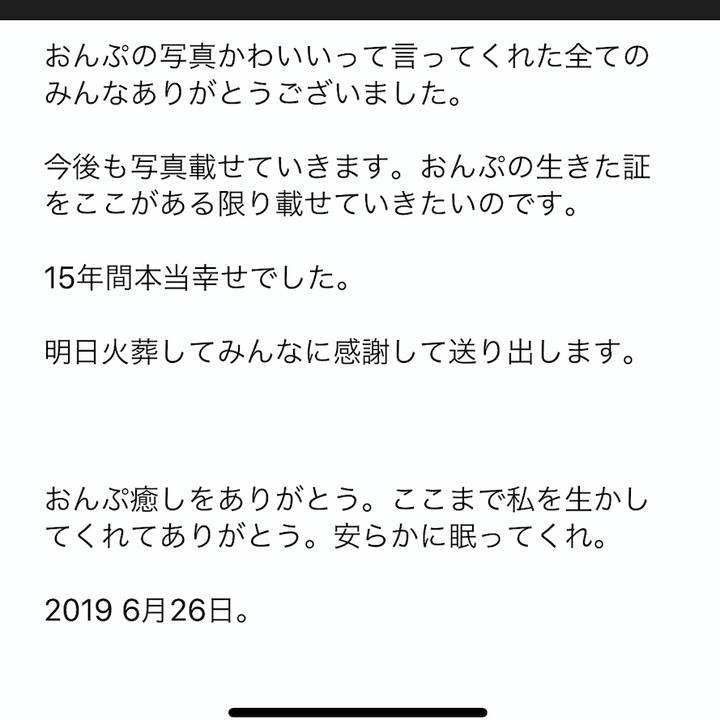 C30bf44f 72c7 45eb bd88 72f780ae9019 1561564846287