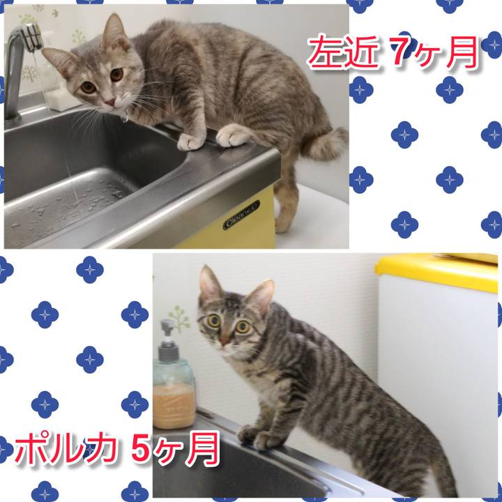 C30bf508 0398 4211 a8bc e30978a69cb8 1705380585317