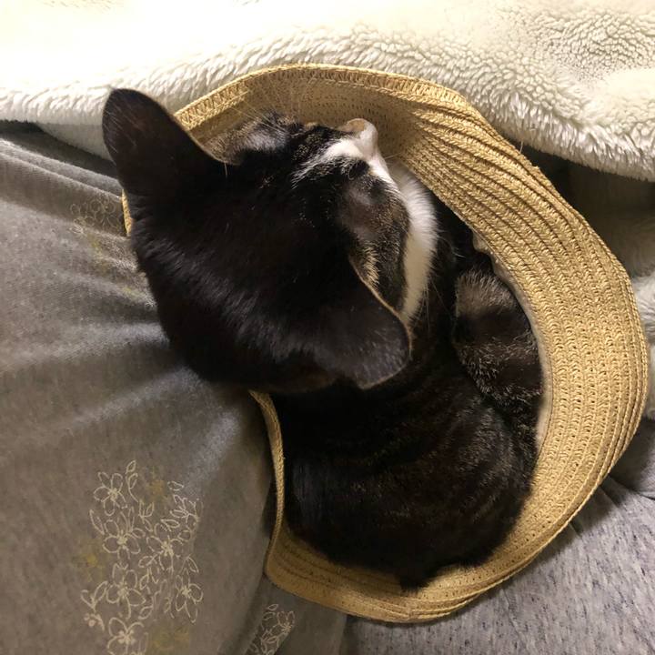 C30c2e82 c795 47f9 82c2 012808aa1b9a 1620096490050