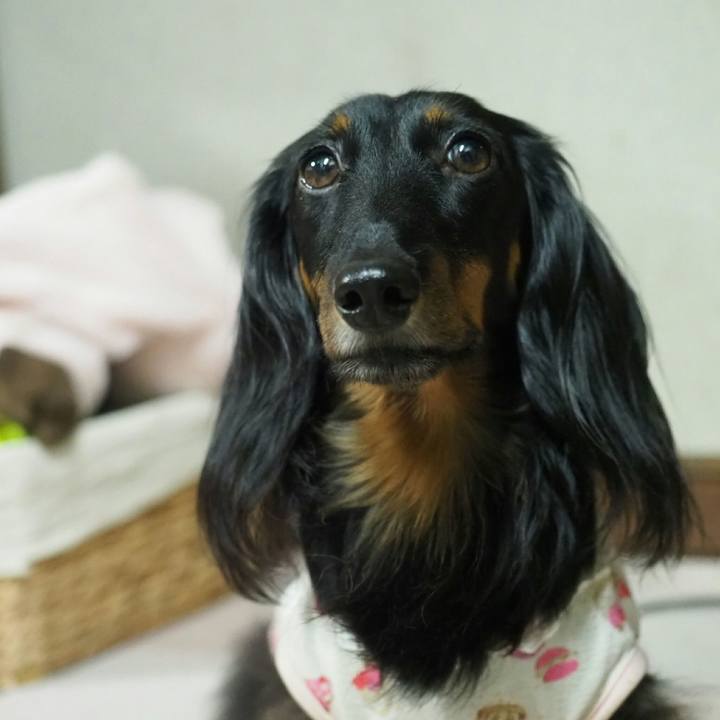 C30c53c5 b85e 49ab ac74 42cdc21df850 1535374844049