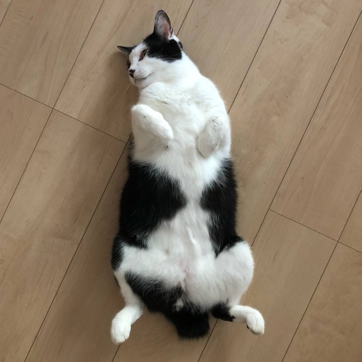 C30c922d 487b 49c6 beae 8612913edbc2 1599688000007