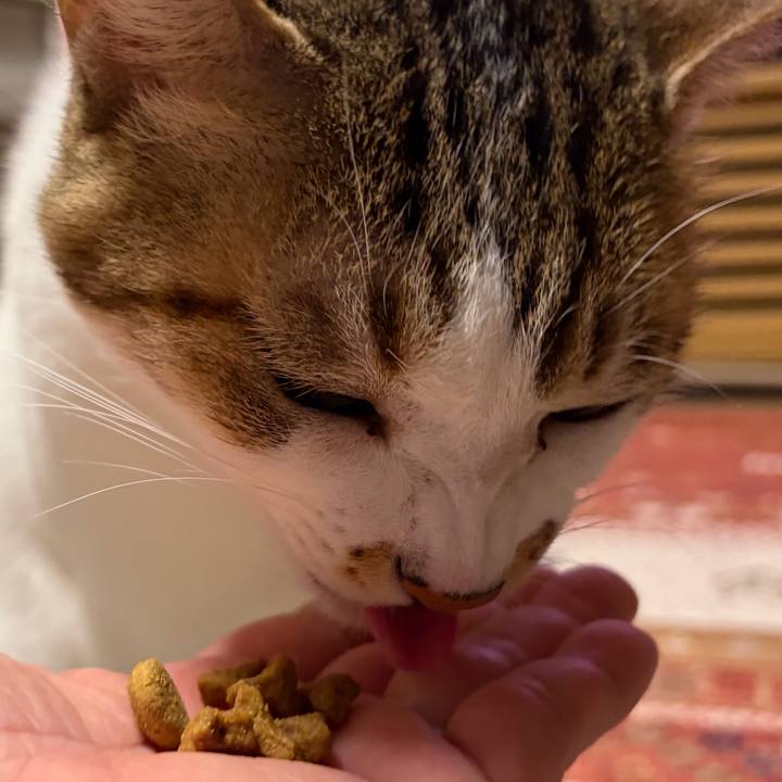 C30c9931 3fd8 4bdc 9dc7 1b1ced2c64ee 1764235543413