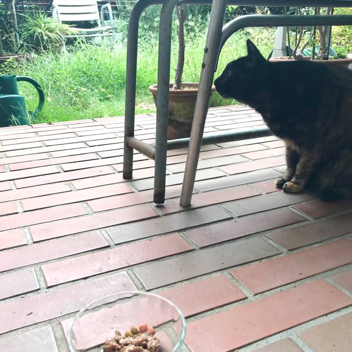 C30ca568 265a 4261 9eca 6b2baf26c638 1570443190743