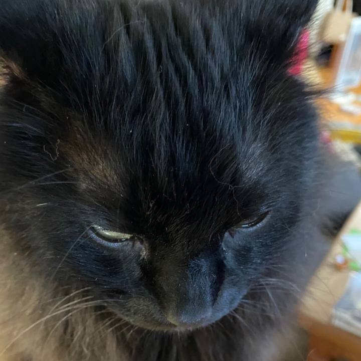 C30ca913 b669 4f20 ab4a 699604e25b8e 1580381157953