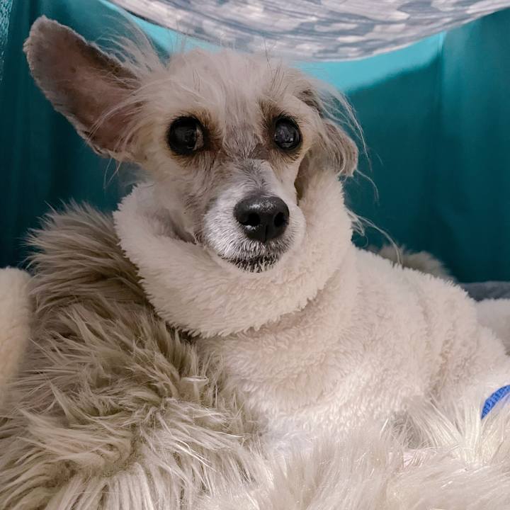 C30cda9d 49e9 4ada 881e 244d56abf8d6 1770906391291