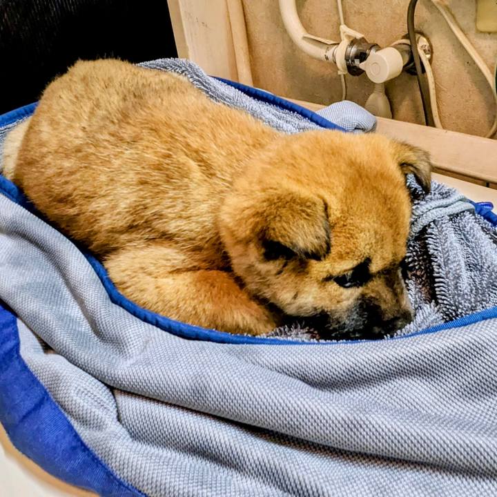 C30d0632 4925 485c be14 ccf9e612ddd4 1775225944618