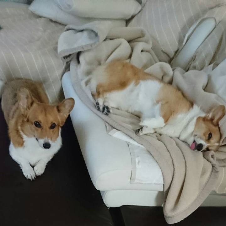 C30d0d6b 4e72 4868 968a 82a633f17cbe 1540165593350