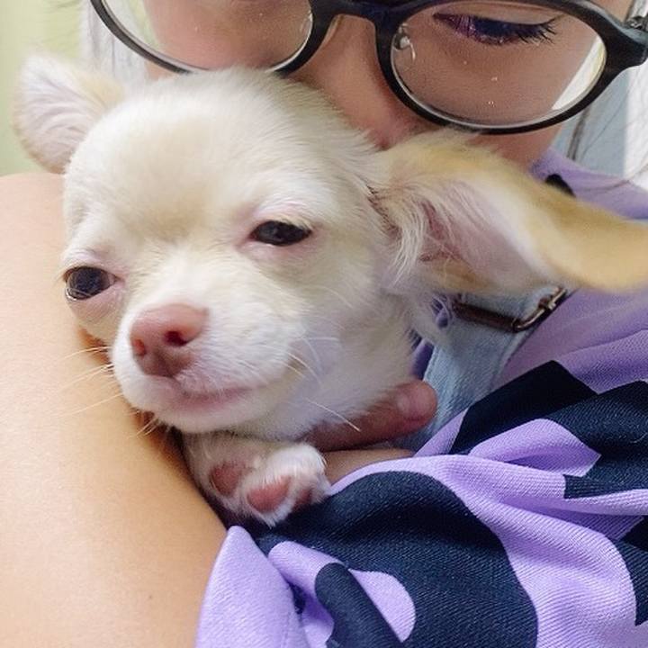 C30d64c3 6ca7 4483 ad9c cef130fa4f79 1593599315340