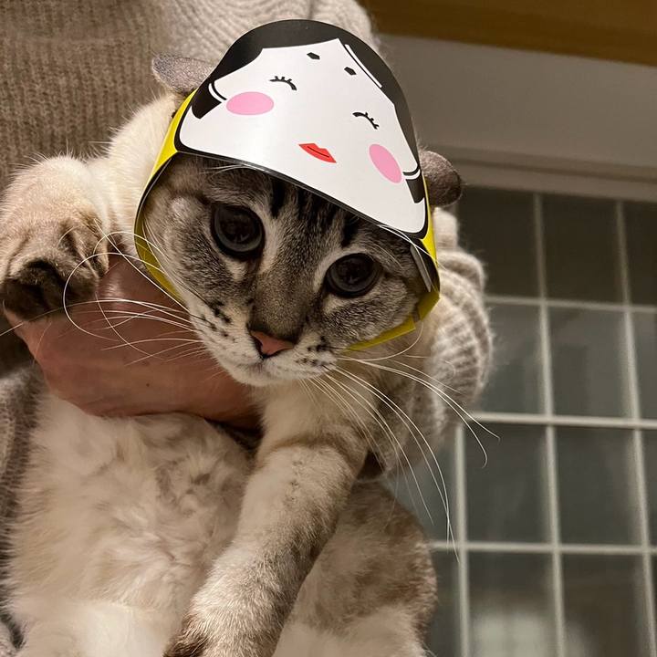 C30d7c5f 707a 41e6 8ed8 1b43c9d07563 1706879809972