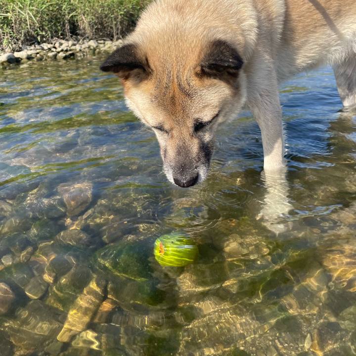 C30d91bb 39d6 4df6 8206 f79397236b40 1661687024030